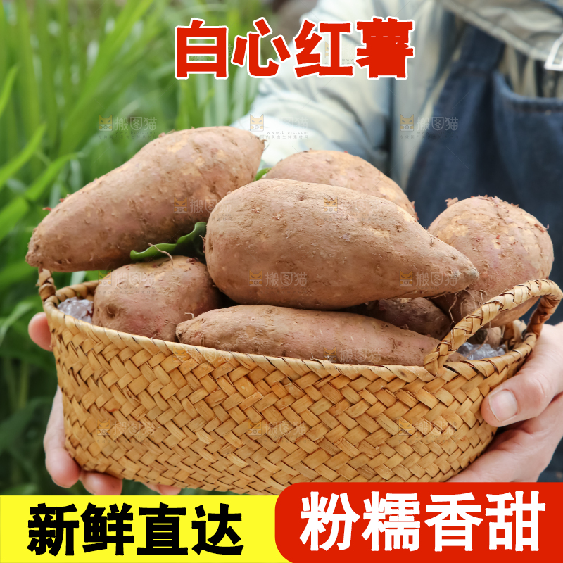白心红薯