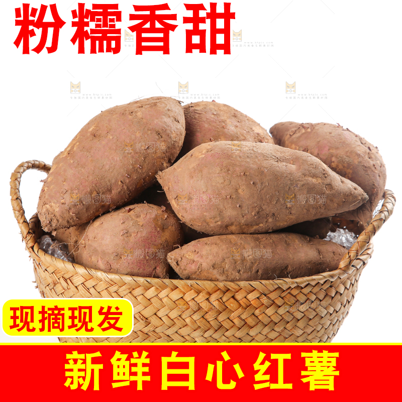 白心红薯