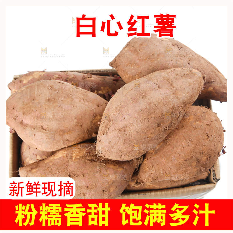 白心红薯