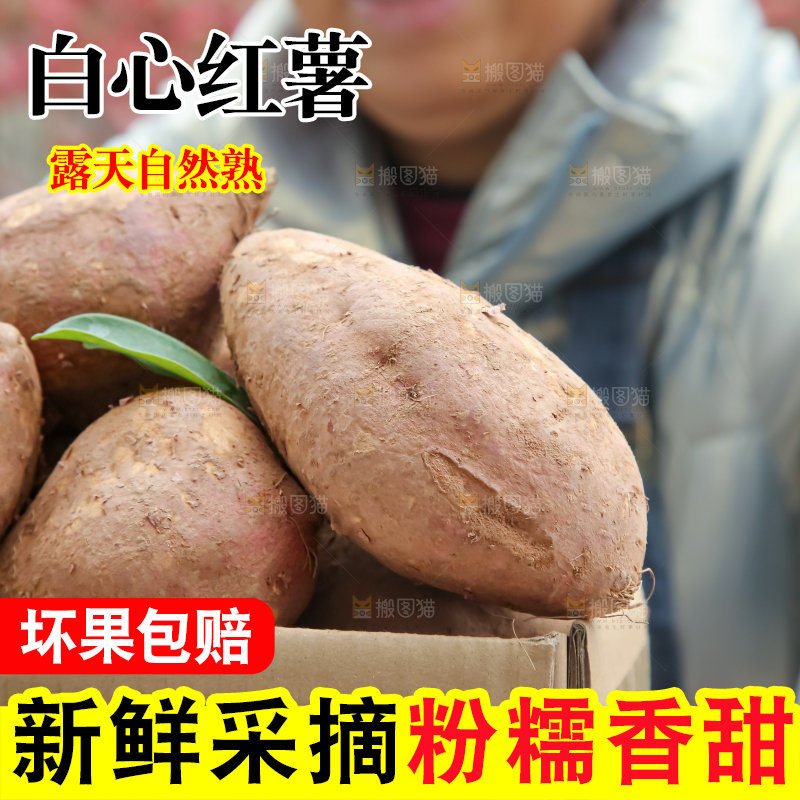 白心红薯