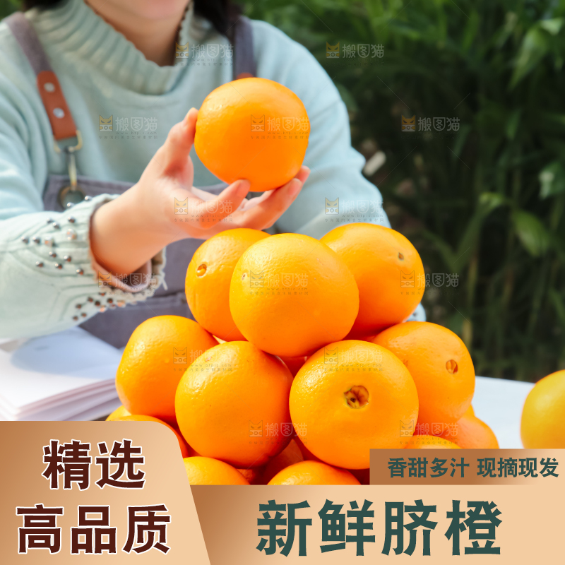 脐橙