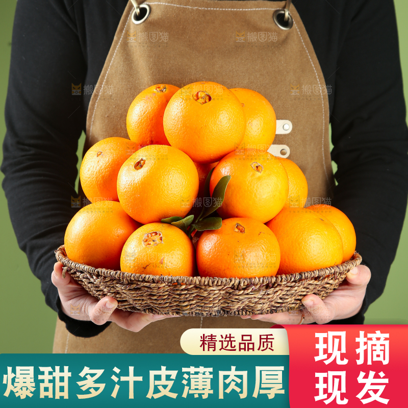 脐橙