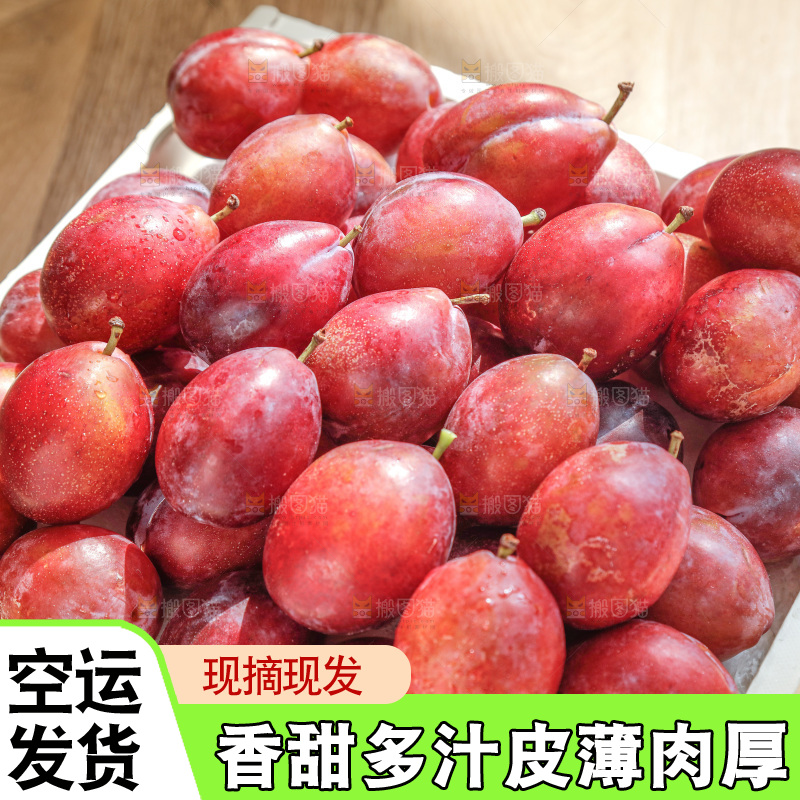 西梅