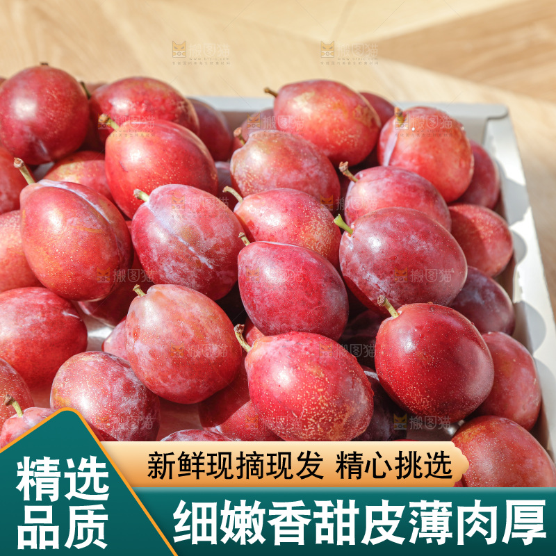 西梅