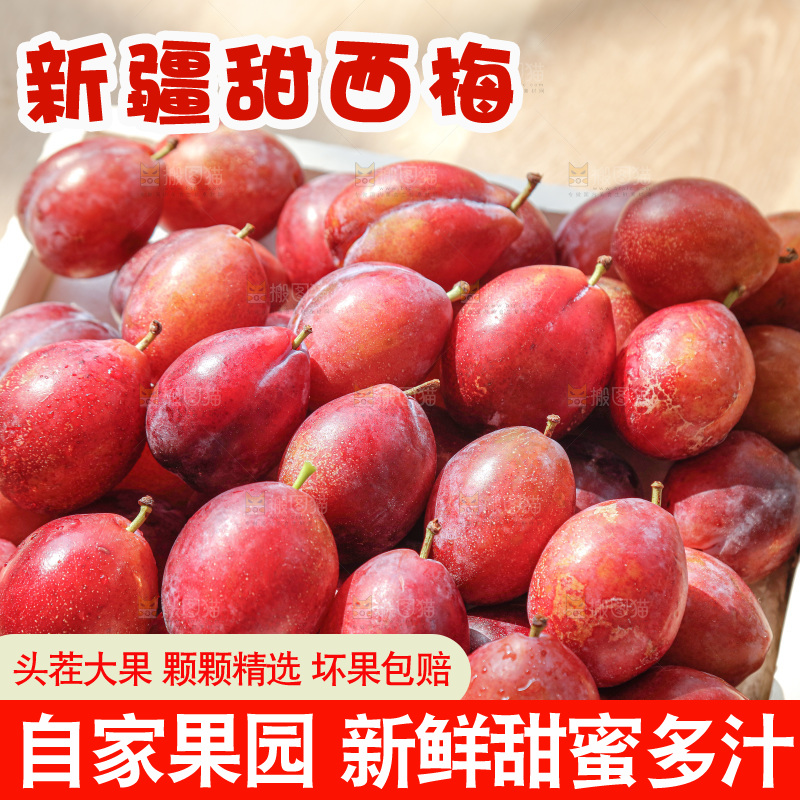 西梅