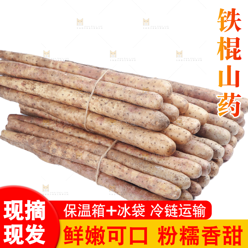 铁棍山药