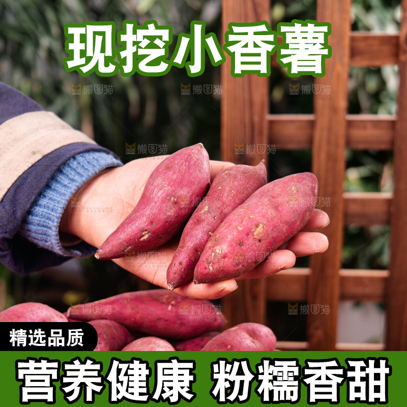 小香薯