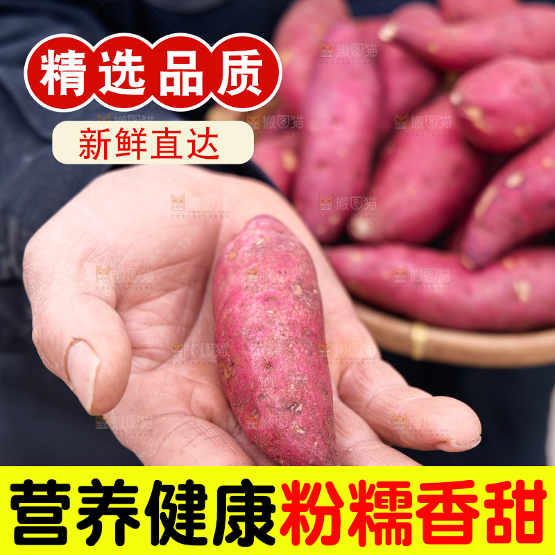 小香薯