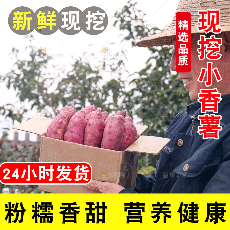 小香薯