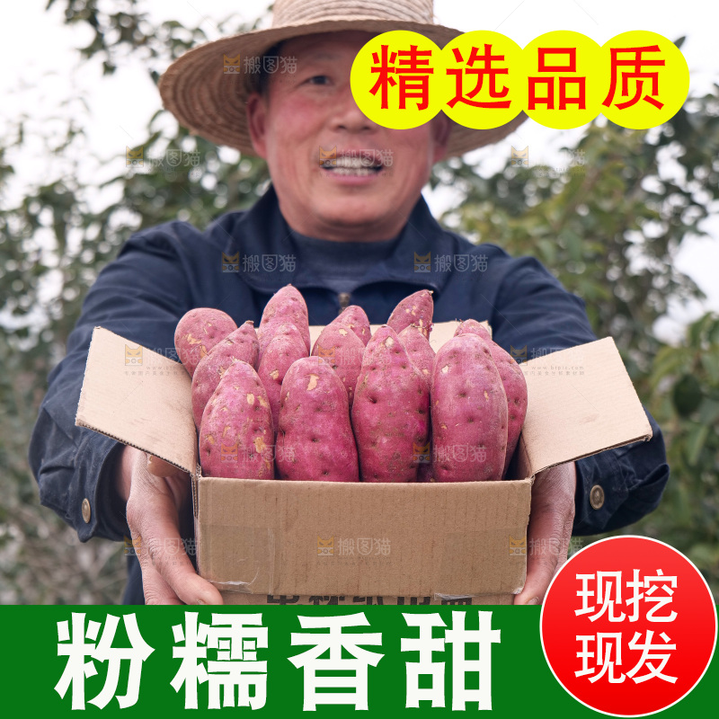 小香薯