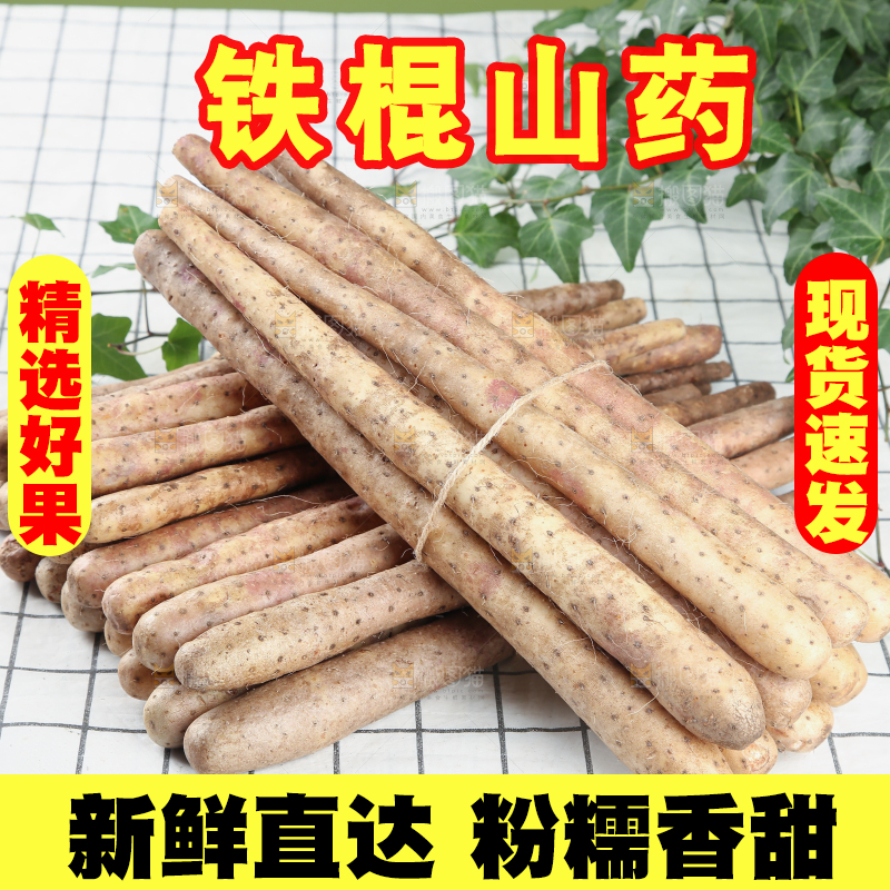 铁棍山药