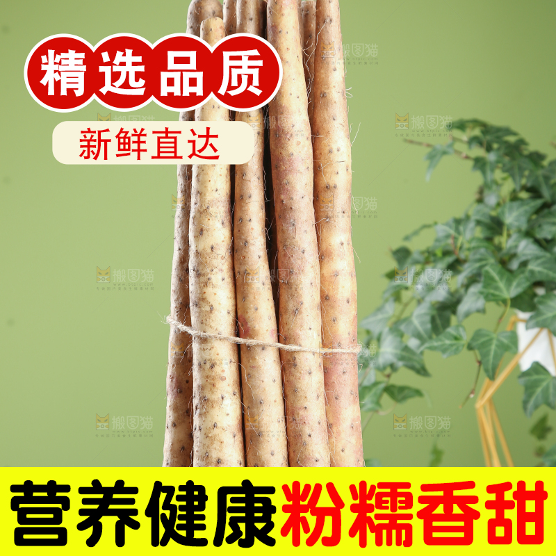 铁棍山药