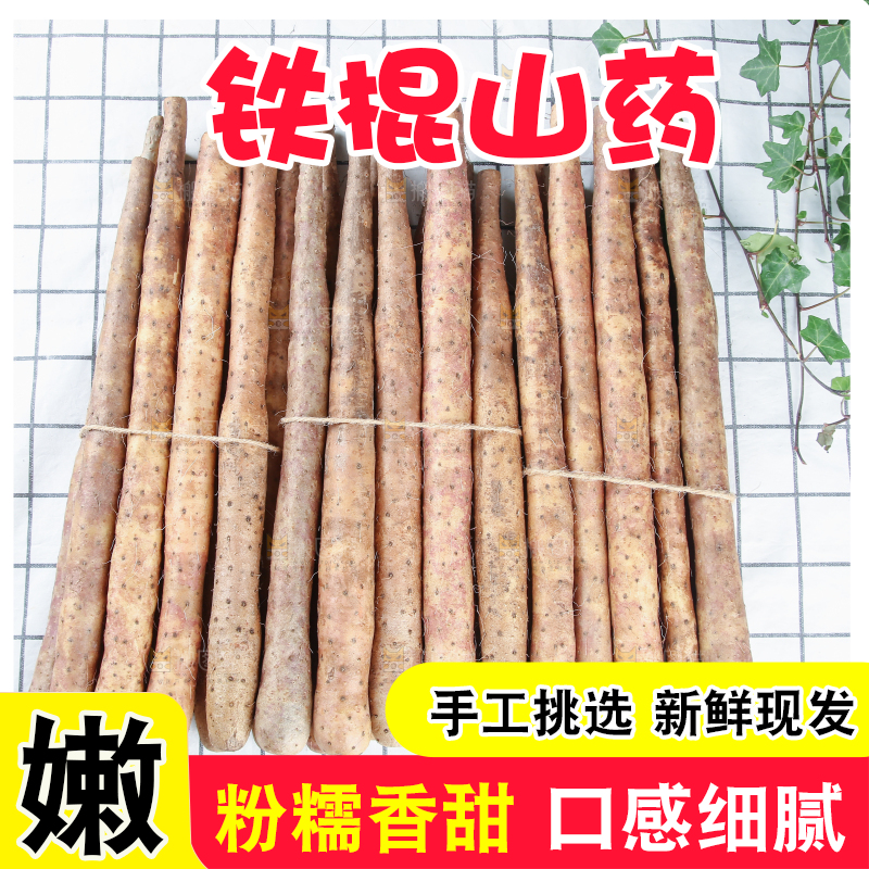 铁棍山药
