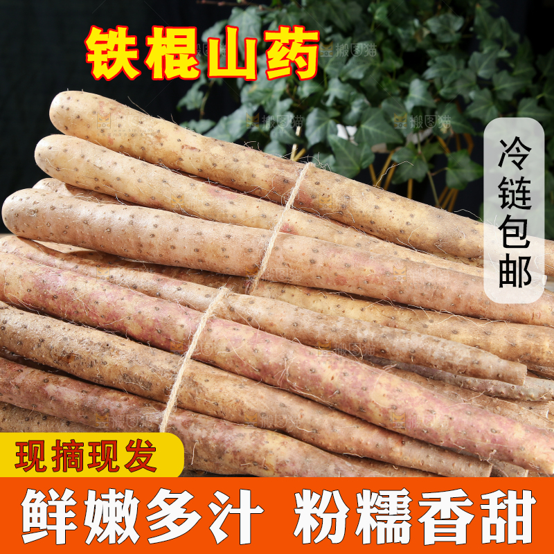 铁棍山药