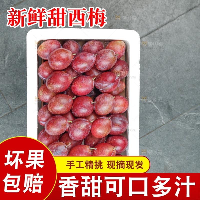 西梅