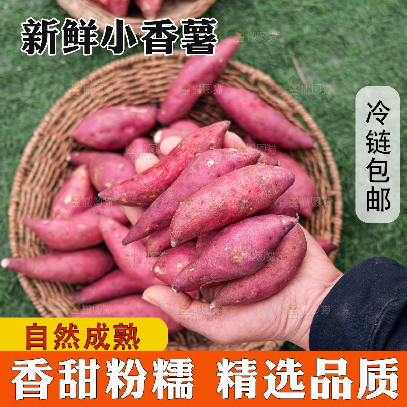 小香薯