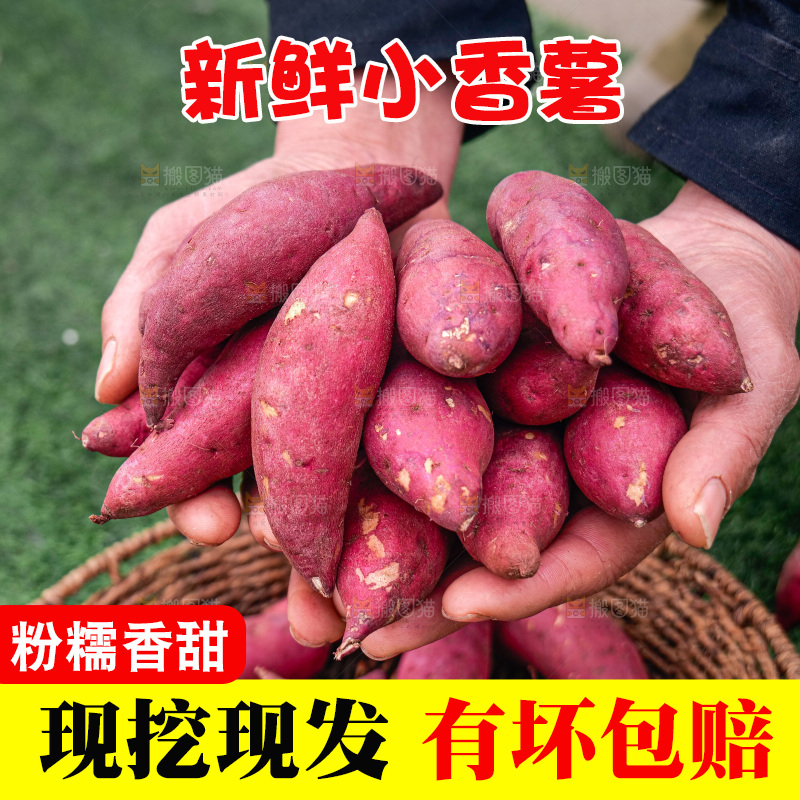 小香薯
