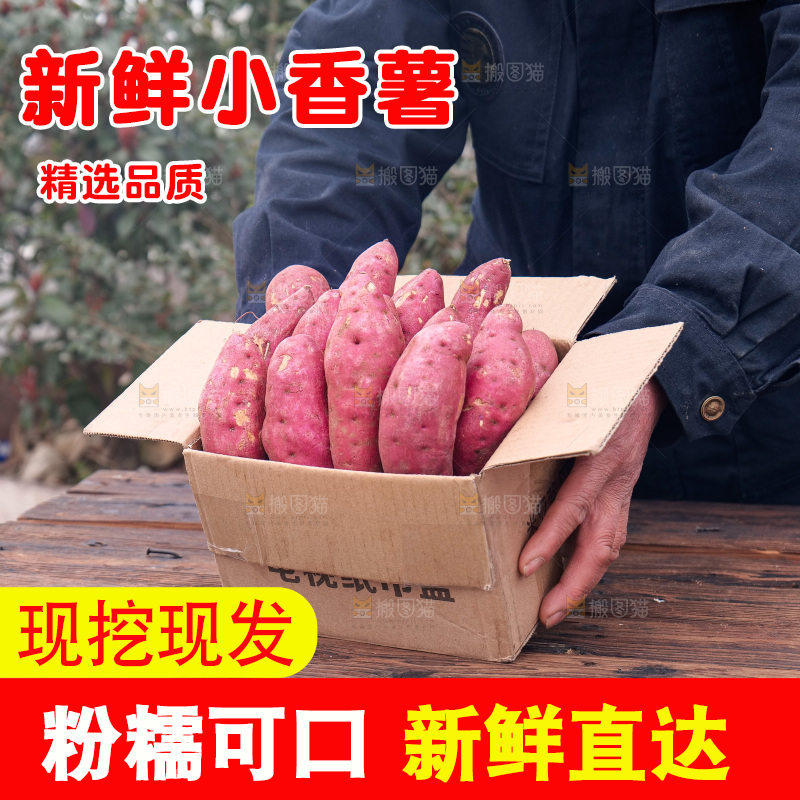 小香薯