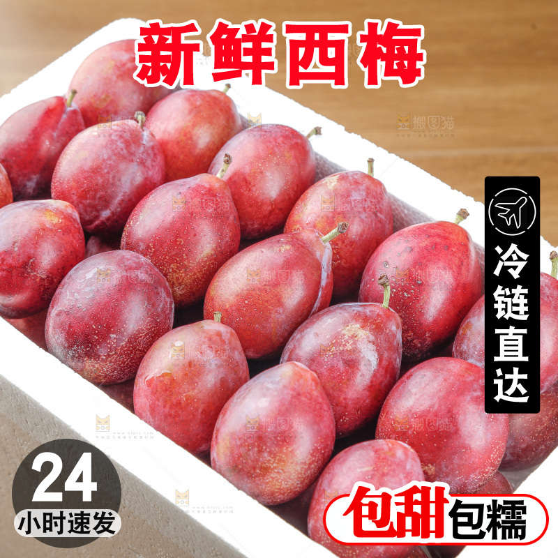西梅