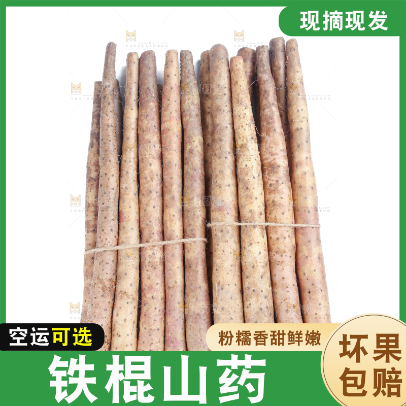 铁棍山药