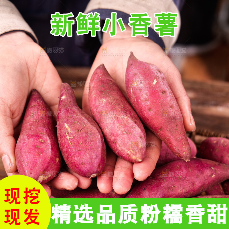 小香薯