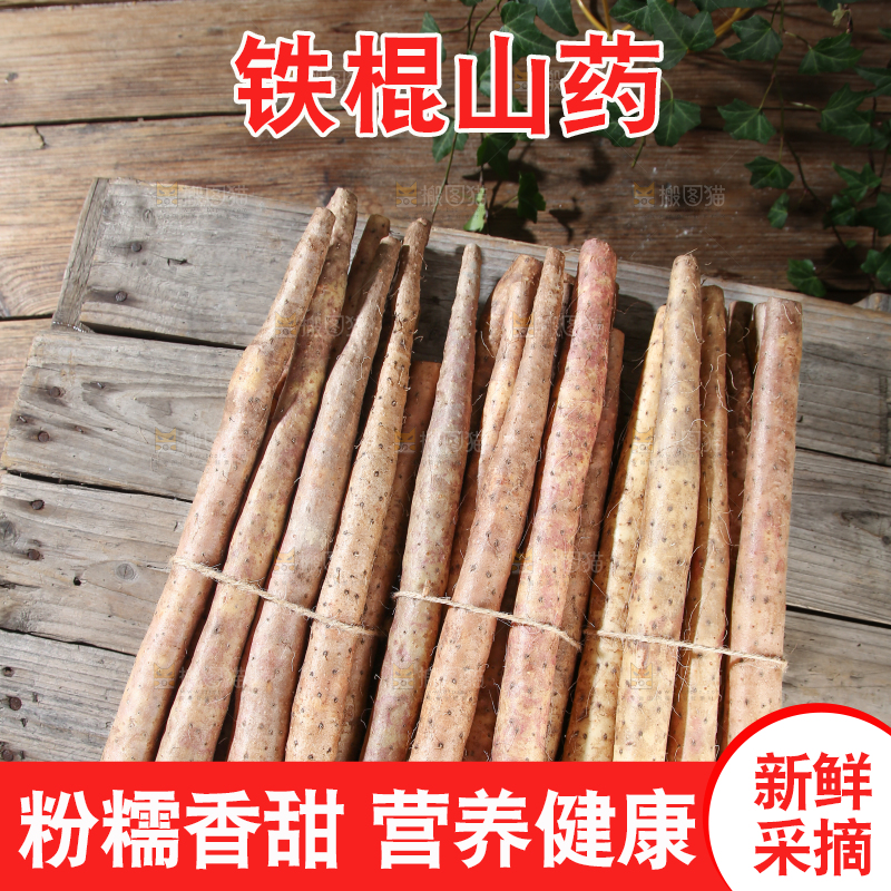 铁棍山药