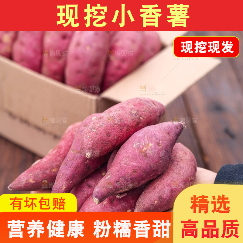 小香薯