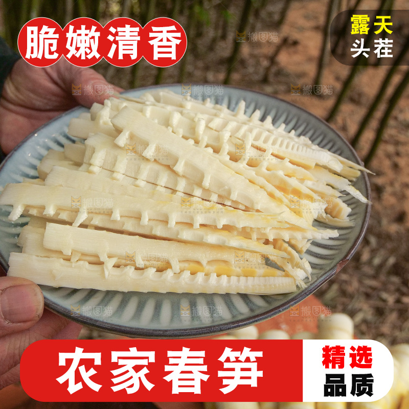 春笋