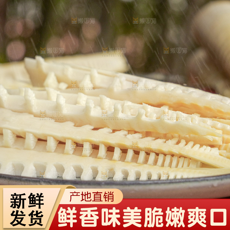 春笋