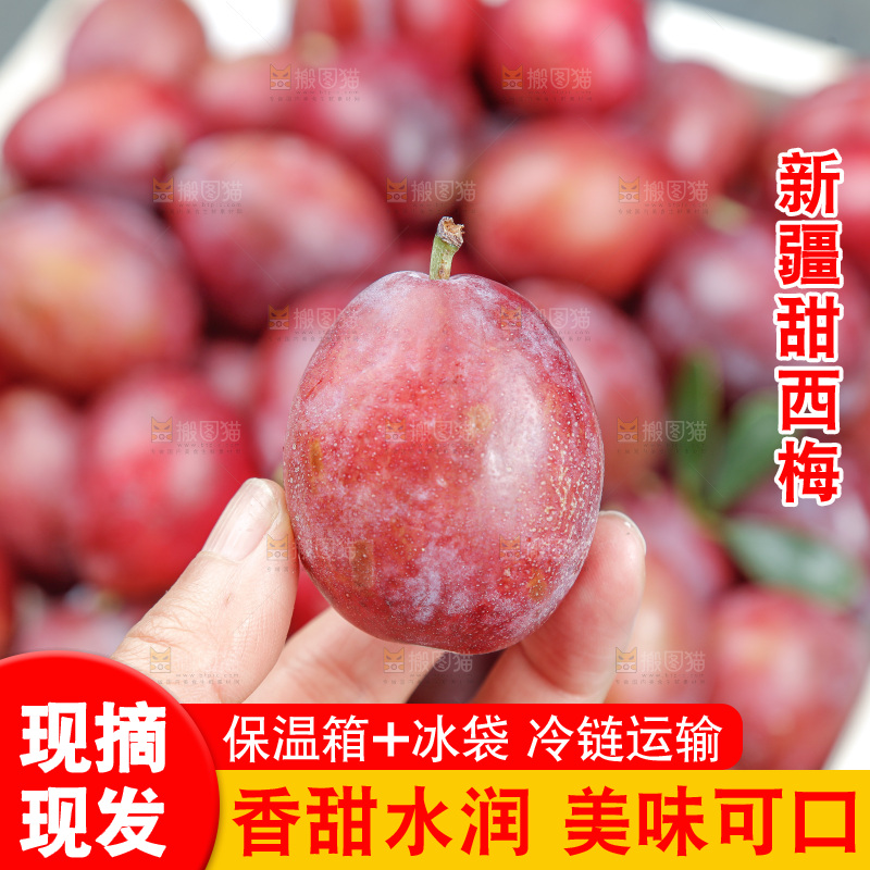 西梅