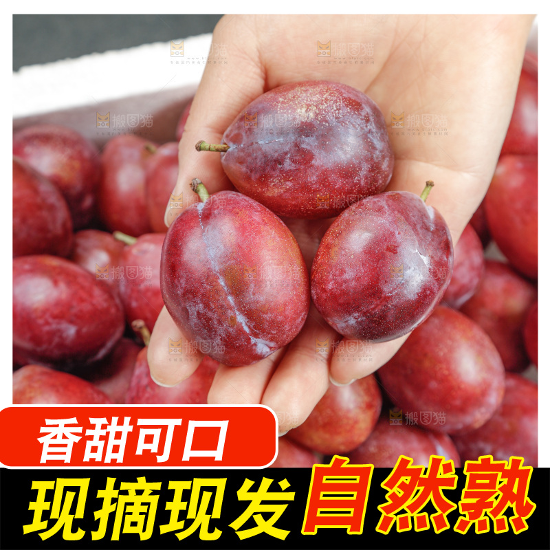 西梅
