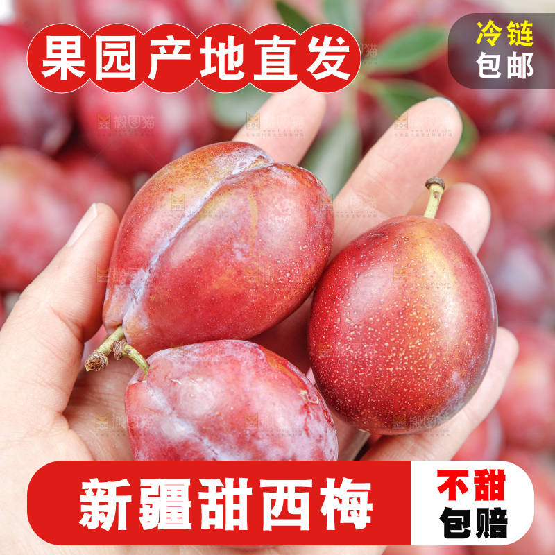 西梅