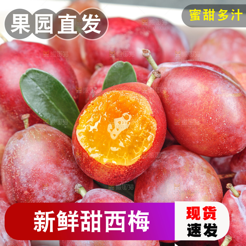 西梅