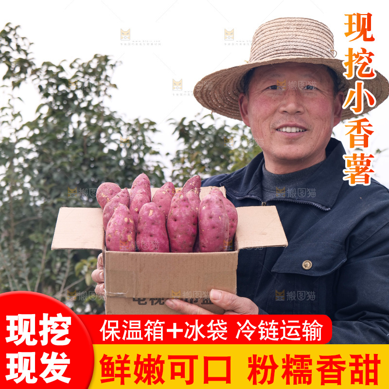 小香薯