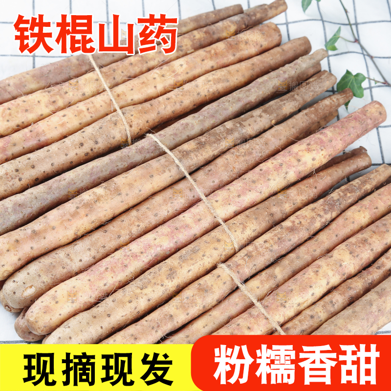 铁棍山药