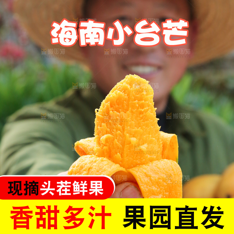 小台芒