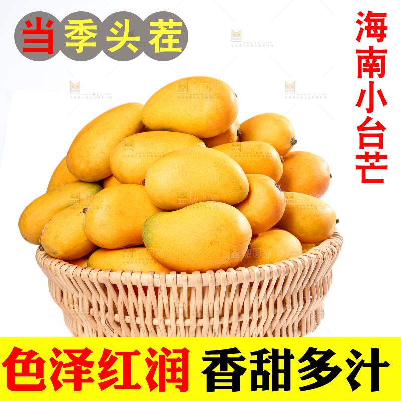 小台芒