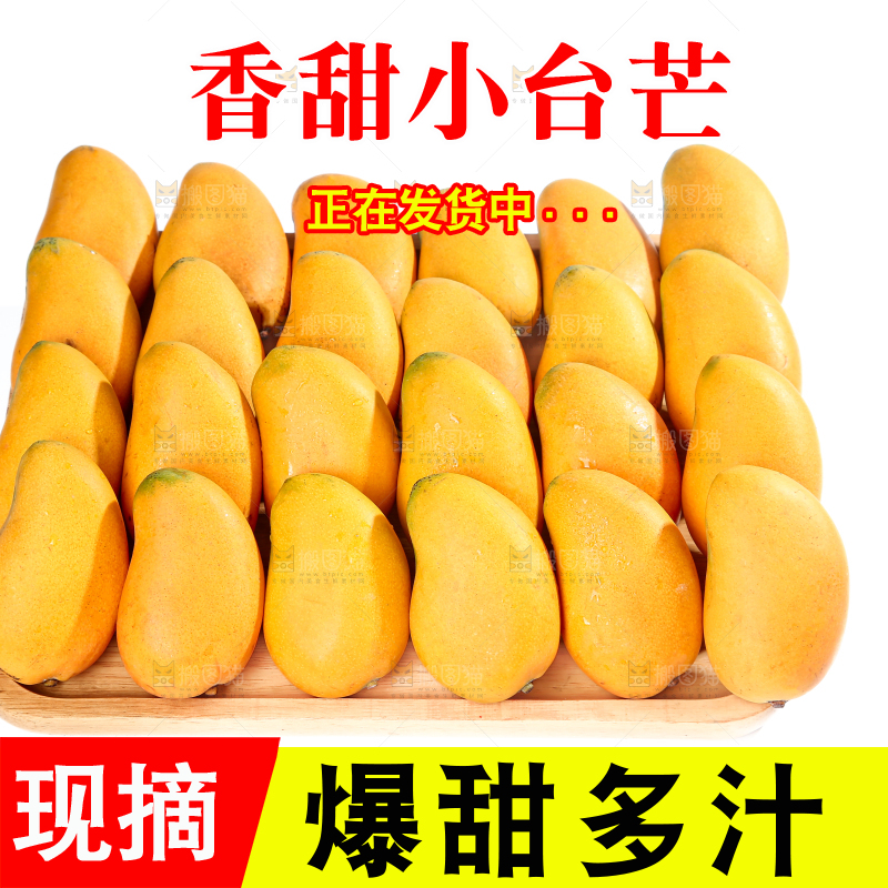 小台芒