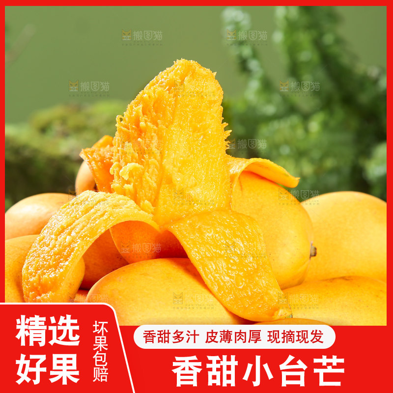 小台芒