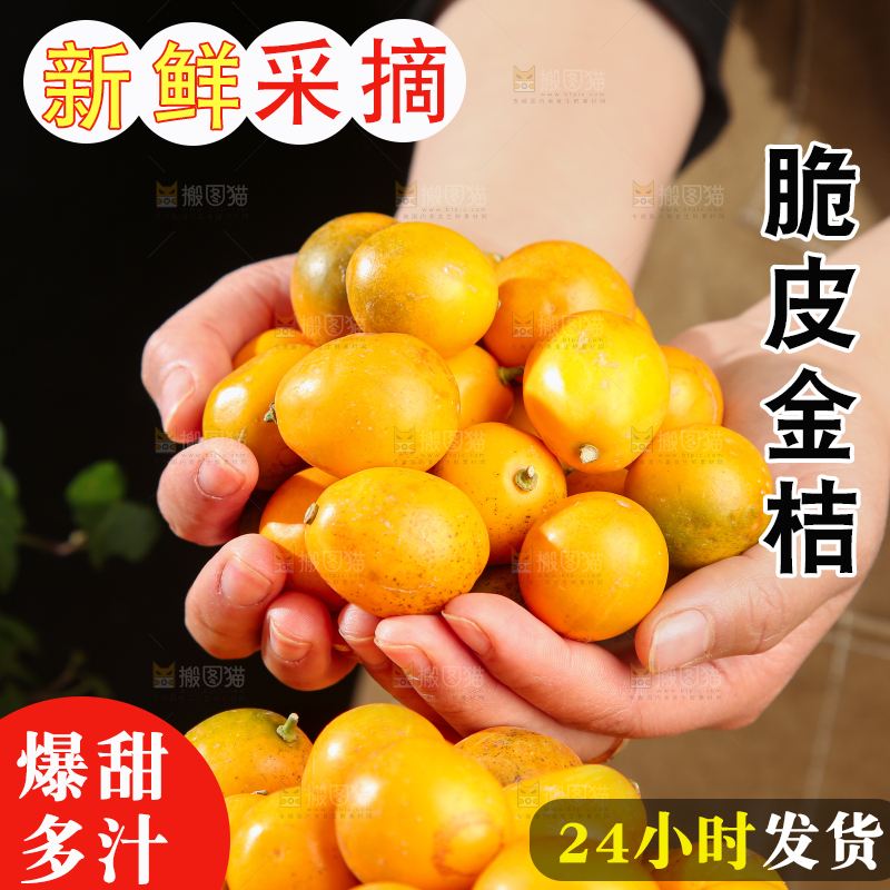 脆皮金桔