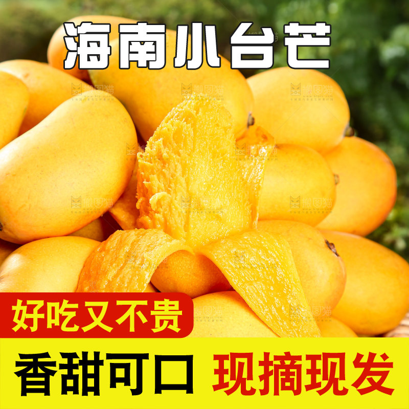 小台芒