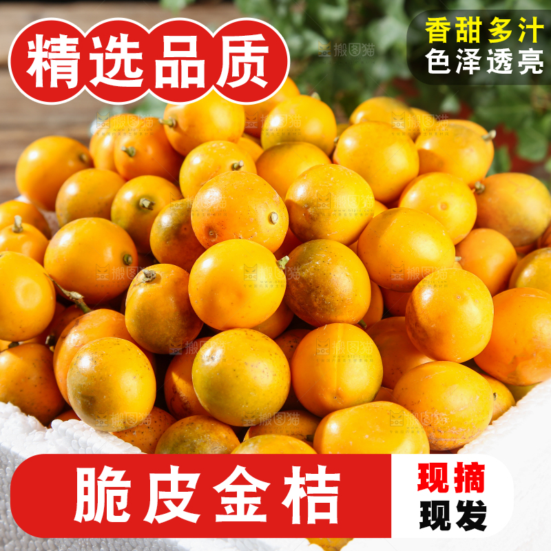 脆皮金桔