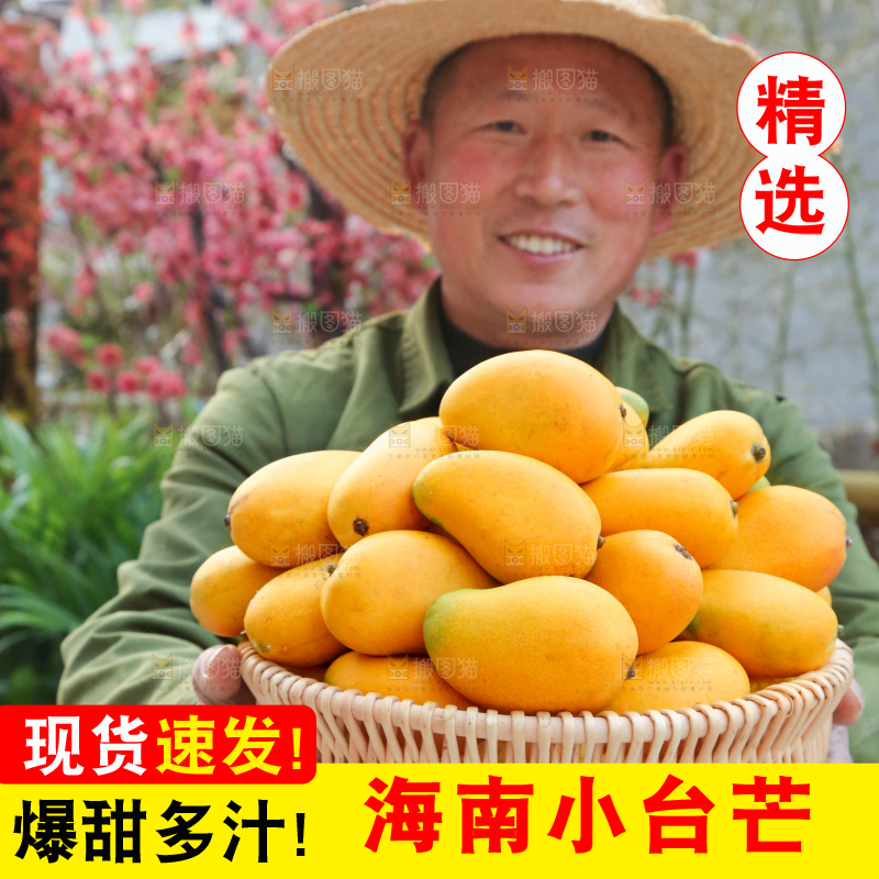 小台芒