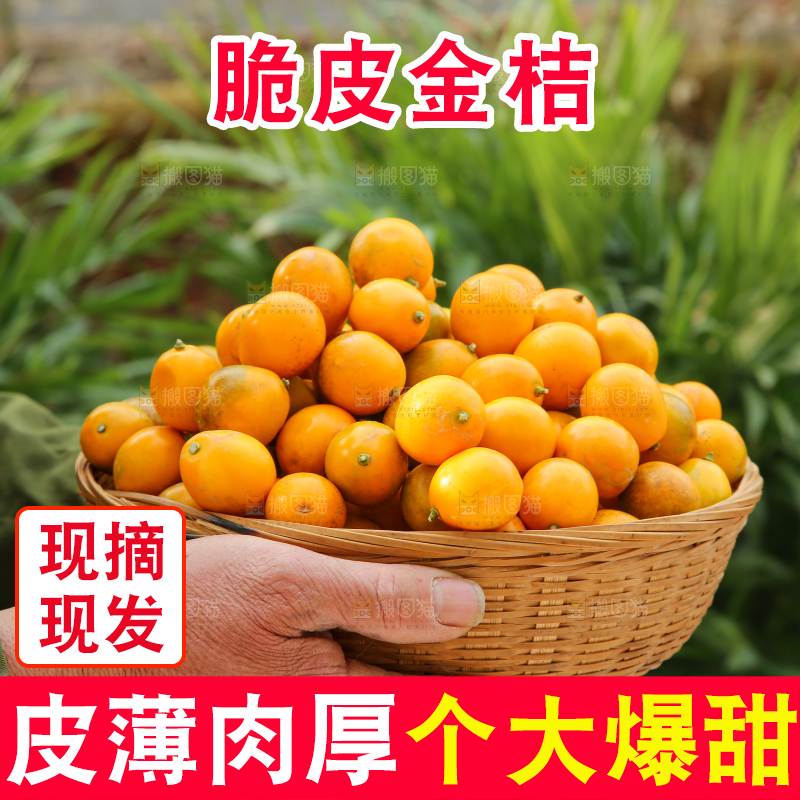 脆皮金桔