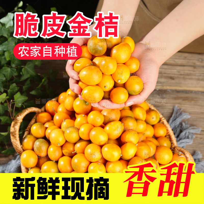 脆皮金桔