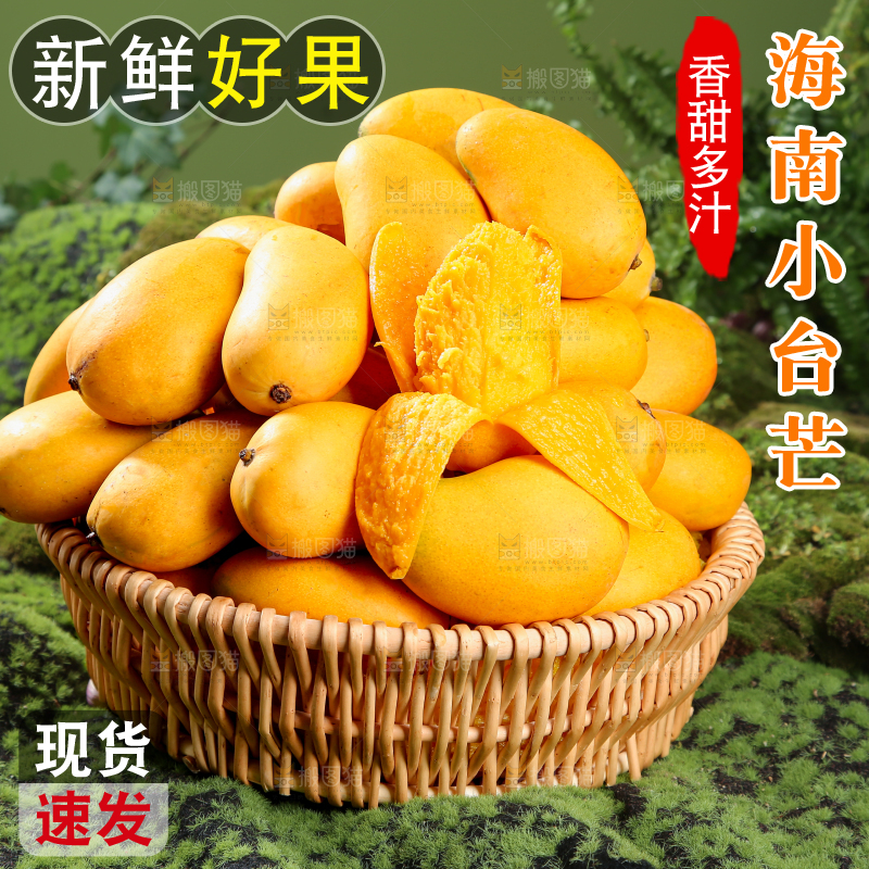 小台芒