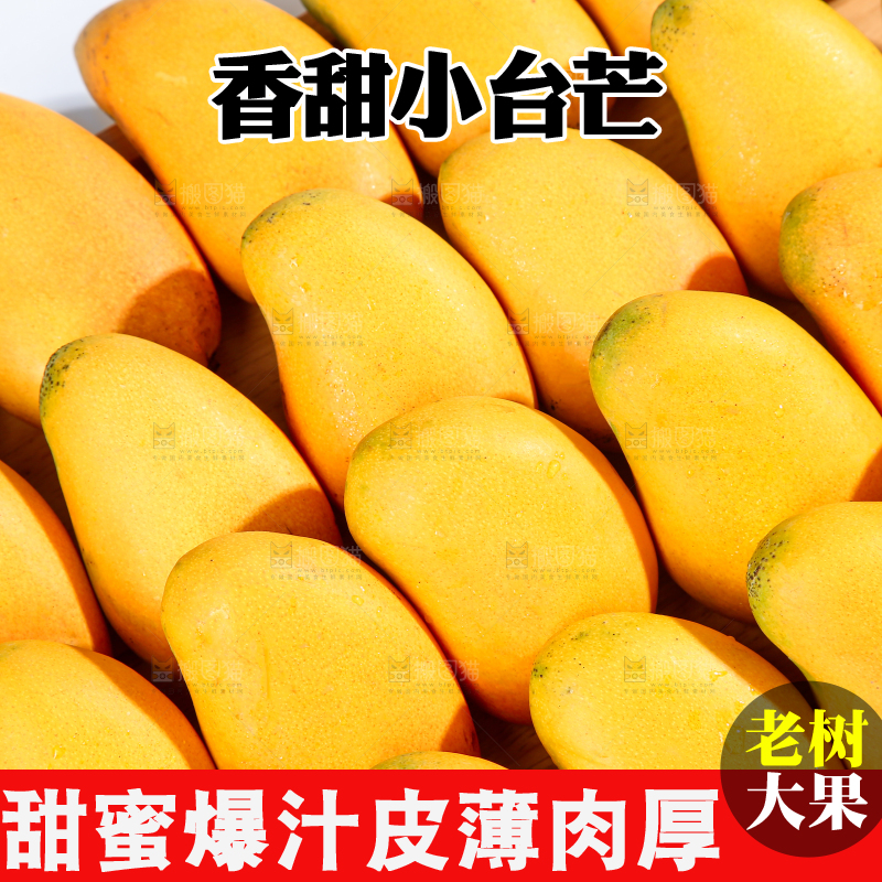 小台芒