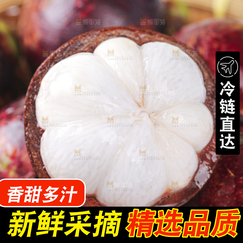 山竹