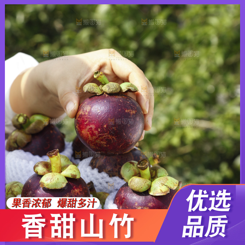 山竹