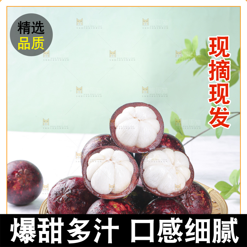 山竹